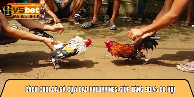 Cách chơi đá gà cựa dao philippines giúp tăng 90% cơ hội 9 Cách chơi đá gà cựa dao philippines